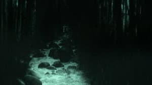 Sleep Has Her House — foto 12