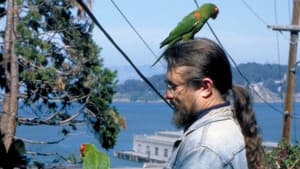 The Wild Parrots of Telegraph Hill — foto 5