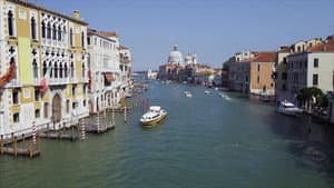 Wild Venice — foto 3