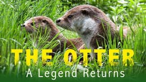 The Otter: A Legend Returns — foto 1