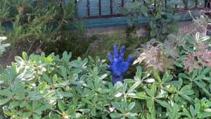 Where Is The Cat's Tail? — foto 5