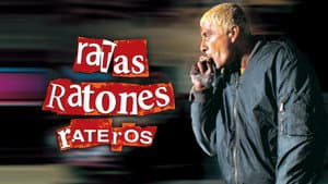 Ratas, ratones, rateros — foto 7