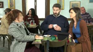 Episodio 81