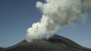 Survivre aux catastrophes, les stratégies de la nature — foto 1