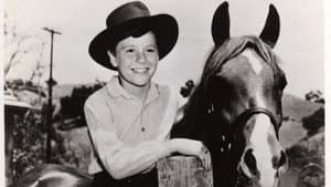 My Friend Flicka — foto 1