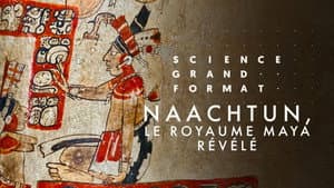 Naachtun, le royaume maya révélé — foto 1