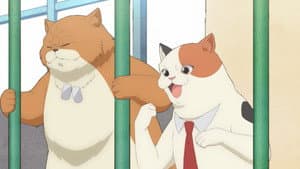 Episodio 13