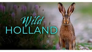 Holland: Natuur in de Delta — foto 1