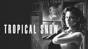 Tropical Snow — foto 4