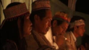 L'Ayahuasca, le serpent et moi — foto 1