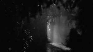 The Night Has Eyes — foto 1