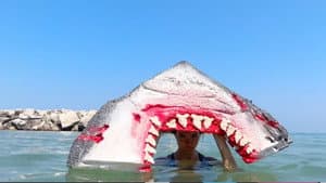 The Lake Michigan Muncher — foto 1