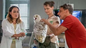 Episodio 8