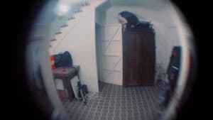 Vecgada vakara slaktiņš 2 — foto 8