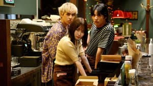 シナントロープ — foto 3