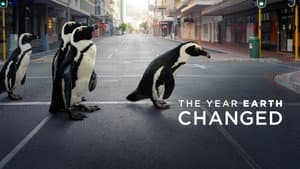 El año que cambió a la Tierra — foto 5