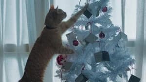 Mi Navidad con Bob — foto 9