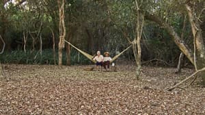 Hamaca paraguaya — foto 1