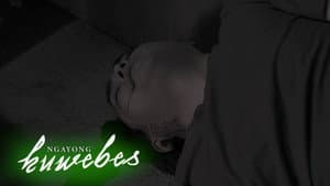 Episodio 24