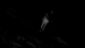 Nightwalk — foto 1