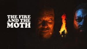 The Fire and the Moth — foto 4