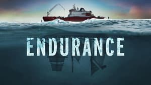 Endurance — foto 5