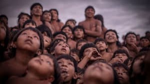 Yaõkwa - Imagem e Memória — foto 1