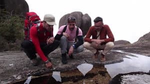 Episodio 5