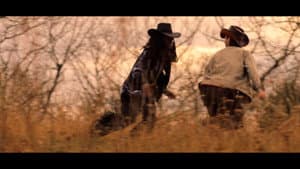The Lonesome Pony — foto 3