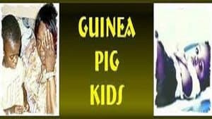 Guinea Pig Kids — foto 1