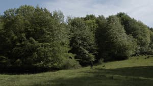La Malesa — foto 1