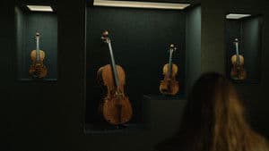 Los músicos — foto 1