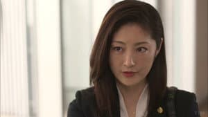 グッドワイフ — foto 3