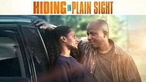 Hiding in Plain Sight — foto 1