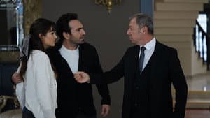 Episodio 15