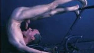 Autofellatio Diaries — foto 1