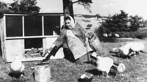 Kahpenin Kızı — foto 2