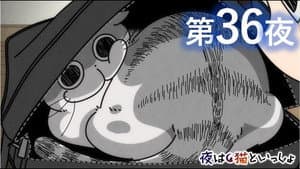 Episodio 36