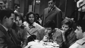 I delfini — foto 3