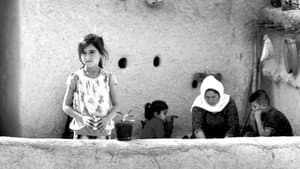 Nameyên ji Şengal — foto 3
