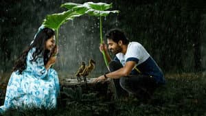 ఆయ్ — foto 1