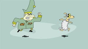 Sheep en la gran ciudad — foto 1
