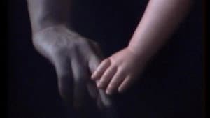 D’Amore Si Vive — foto 1