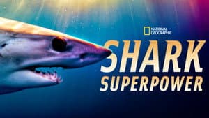 Shark Superpower — foto 7