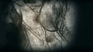 Camera obscura — foto 3