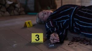 Episodio 11