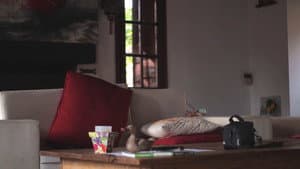 Mi MMXX — foto 11