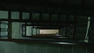 Arquitectura emocional 1959 — foto 4