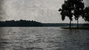 The Lake — foto 1