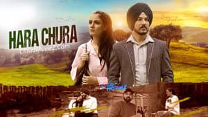 ਹਰਾ ਚੂੜਾ — foto 2